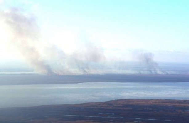 Incendiul care ameninţa casele din Silistra, stins cu ajutorul Gărzii de Coastă